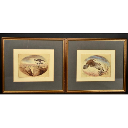 31 - 20th Century, a group of six prints relating to birds of prey, each signed and inscribed in pencil, ... 