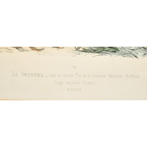 53 - Edouard Travies (19th Century) French, 'Le Venneau', hand-coloured lithograph, 13.75