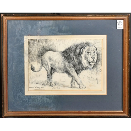 190 - Raoul Millais, 'Saved', study of a lion, charcoal, signed and inscribed, 6.75