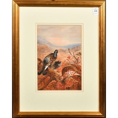 201 - Early 20th Century, Black Grouse sitting on a tree branch and Black Grouse standing at the top of a ... 