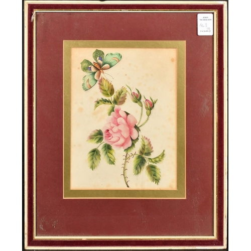 218 - Chinese School, A still life of a pink roses and a butterfly, watercolour, 7.75