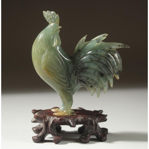12 - A CARVED JADE FIGURE OF A COCKEREL on a wooden stand, 11cm high (on stand).