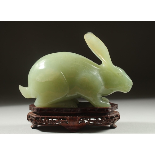 16 - A LARGE CARVED JADE FIGURE OF A RABBIT on a fitted wooden base, 16cm long.