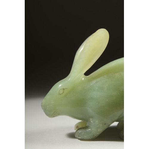 16 - A LARGE CARVED JADE FIGURE OF A RABBIT on a fitted wooden base, 16cm long.