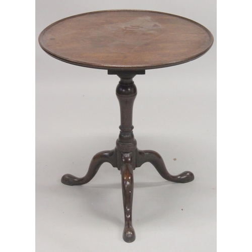 1007 - A GEORGIAN MAHOGANY CIRCULAR TRAY TOP TRIPOD TABLE with birdcage support and three pad feet. 2ft dia... 