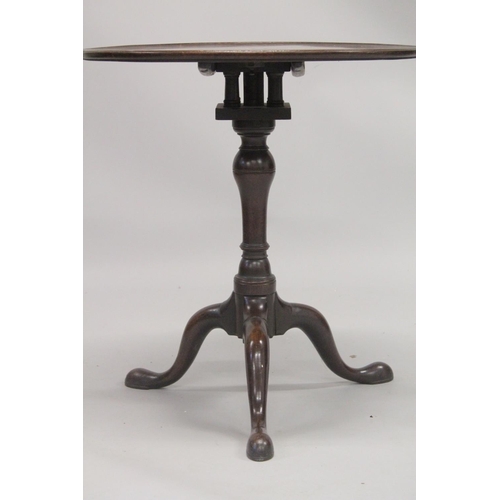 1007 - A GEORGIAN MAHOGANY CIRCULAR TRAY TOP TRIPOD TABLE with birdcage support and three pad feet. 2ft dia... 