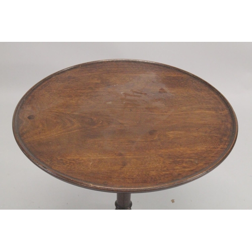 1007 - A GEORGIAN MAHOGANY CIRCULAR TRAY TOP TRIPOD TABLE with birdcage support and three pad feet. 2ft dia... 