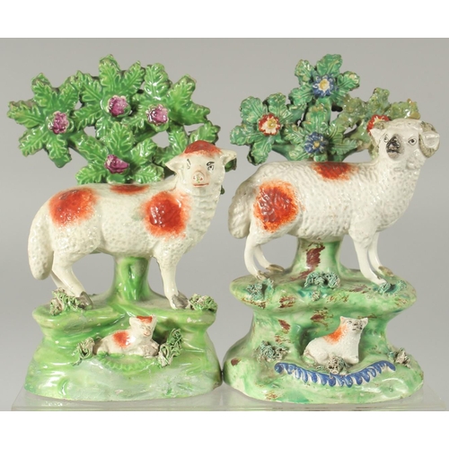 1061 - A PAIR OF STAFFORDSHIRE BOCAGE GROUP OF SHEEP AND LAMBS with Bocage backs. 6ins high.