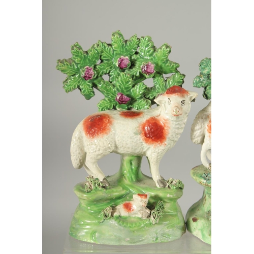 1061 - A PAIR OF STAFFORDSHIRE BOCAGE GROUP OF SHEEP AND LAMBS with Bocage backs. 6ins high.