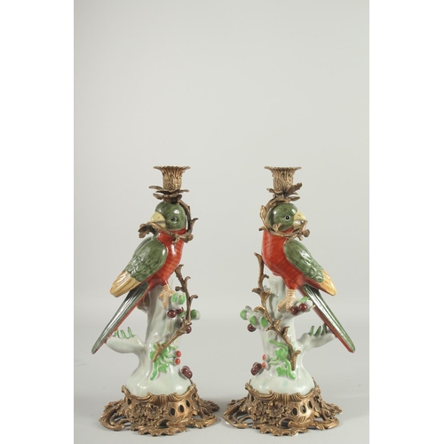 1081 - A GOOD PAIR OF CONTINENTAL RED PARROT AND FRUIT CANDLESTICKS on ormolu mounts. 14ns high.