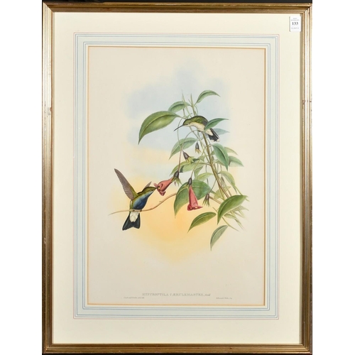 133 - John Gould and H.D. Richter, 19th Century hand coloured lithograph of Humming birds, Sotheran's trad... 