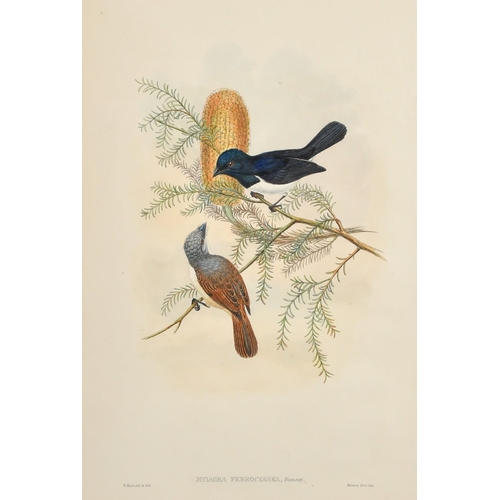 134 - William Hart and John Gould, Two 19th Century hand coloured lithographs of Fly Catchers, one with So... 