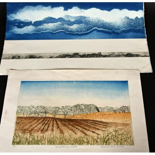 141 - Joan Williams, 'Landscape with burning fields', colour etching, signed, inscribed, numbered 5/50 and... 