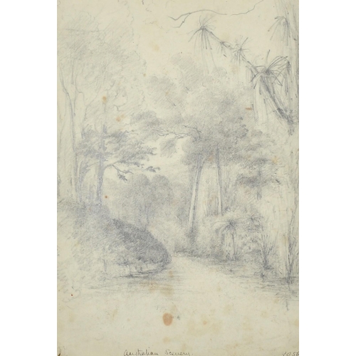 181 - 'Australian Scenery', a view with trees, pencil, titled and numbered 1056, 9.75