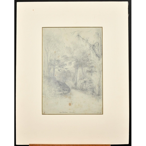 181 - 'Australian Scenery', a view with trees, pencil, titled and numbered 1056, 9.75