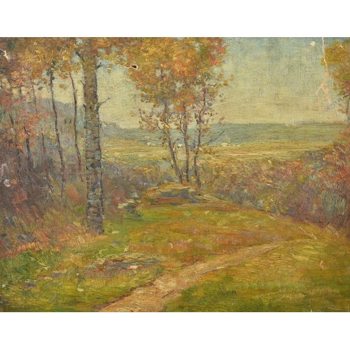 19 - Circa 1900 French School, a view of a path by trees, oil on canvas, 16