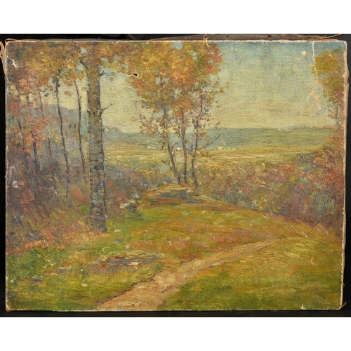 19 - Circa 1900 French School, a view of a path by trees, oil on canvas, 16