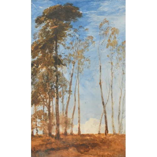 193 - 20th Century, a study of trees in a landscape, watercolour, indistinctly signed and inscribed 'Langh... 