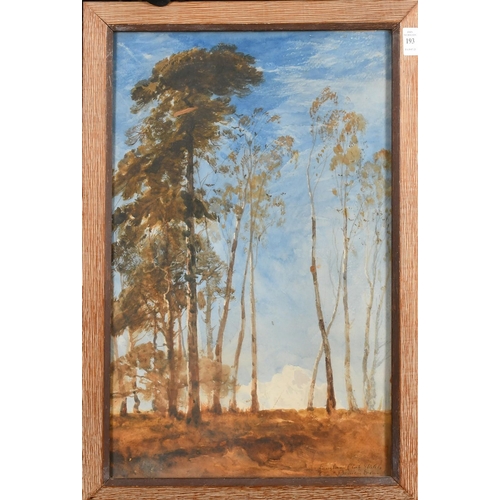 193 - 20th Century, a study of trees in a landscape, watercolour, indistinctly signed and inscribed 'Langh... 