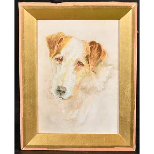 231 - Attributed to John Walker, Head study of a Terrier, watercolour, bears inscriptionverso, 5.5