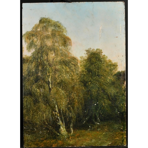 329 - Late 19th Century A study of trees, oil on panel, 20.75