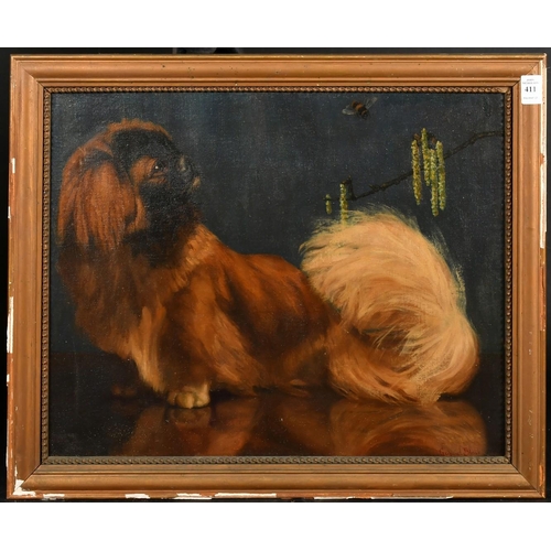 411 - Gabriel Blair, (19th / 20th Century), 'Siouxsie', a Pekingese, oil on canvas, signed, 16