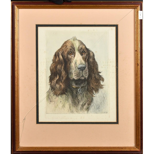 98 - Herbert Dicksee, a colour engraving of spaniel, plate size 13