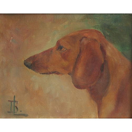 414 - Early 20th Century Continental School, a head study of a Dachshund, oil on canvas, signed with initi... 