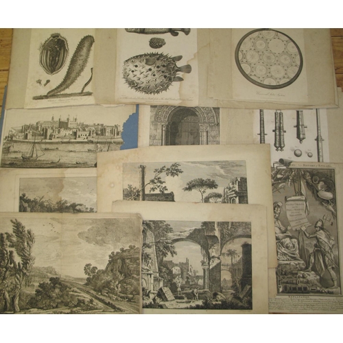 51 - [PRINTS] misc. loose 18th / 19th c. engravings, scientific & topographical (Q).