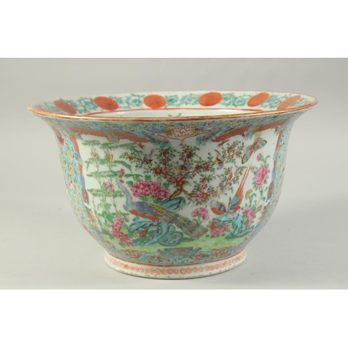 113 - A CHINESE FAMILLE ROSE PORCELAIN JARDINIERE, painted with colourful panels of exotic birds, butterfl... 