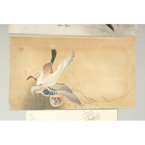 134 - KOSON OHARA (1877-1945): BIRDS AND FLOWERS; four early 20th century Japanese woodblock prints, (4).