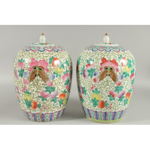 163 - A PAIR OF CHINESE FAMILLE ROSE PORCELAIN JARS AND COVERS, painted with peaches and butterflies, 31cm... 