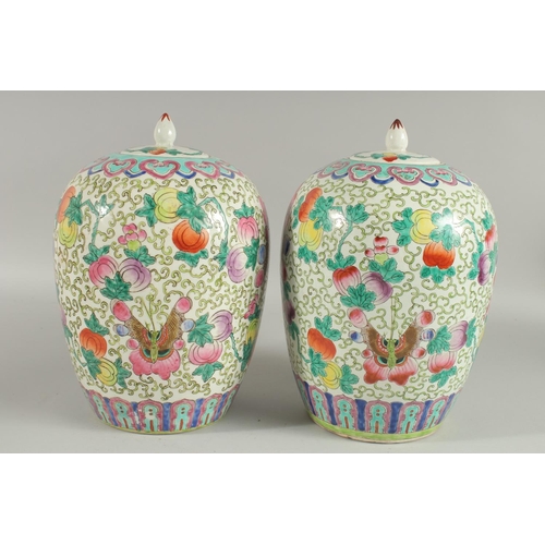 163 - A PAIR OF CHINESE FAMILLE ROSE PORCELAIN JARS AND COVERS, painted with peaches and butterflies, 31cm... 