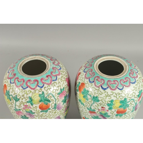 163 - A PAIR OF CHINESE FAMILLE ROSE PORCELAIN JARS AND COVERS, painted with peaches and butterflies, 31cm... 