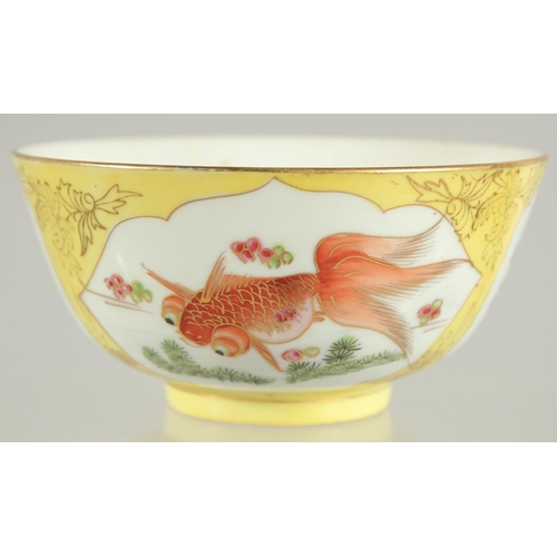 17 - A CHINESE YELLOW GROUND PORCELAIN BOWL, painted with coral red fish with gilt highlights, 12cm diame... 