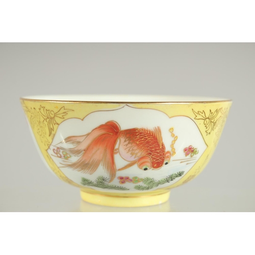 17 - A CHINESE YELLOW GROUND PORCELAIN BOWL, painted with coral red fish with gilt highlights, 12cm diame... 