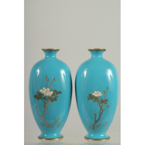 196 - A FINE PAIR OF JAPANESE BLUE GROUND CLOISONNE VASES, decorated with native flora, 15.5cm high.