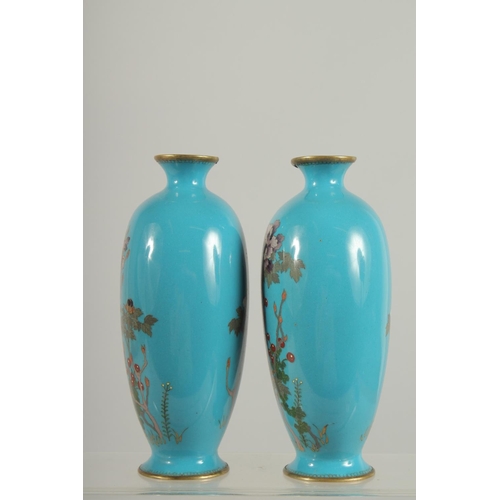 196 - A FINE PAIR OF JAPANESE BLUE GROUND CLOISONNE VASES, decorated with native flora, 15.5cm high.