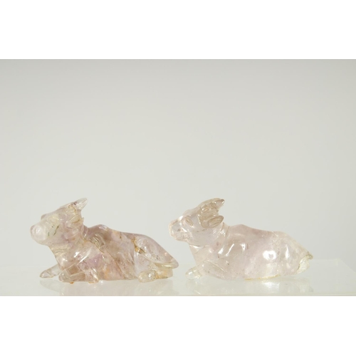 207 - TWO CHINESE CARVED ROCK CRYSTAL BULLS, on fitted wooden stands, each figure approx. 7.5cm long.