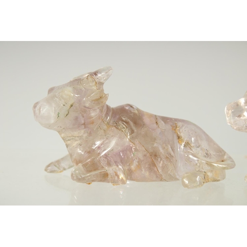 207 - TWO CHINESE CARVED ROCK CRYSTAL BULLS, on fitted wooden stands, each figure approx. 7.5cm long.