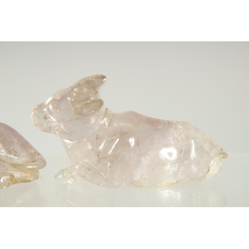 207 - TWO CHINESE CARVED ROCK CRYSTAL BULLS, on fitted wooden stands, each figure approx. 7.5cm long.