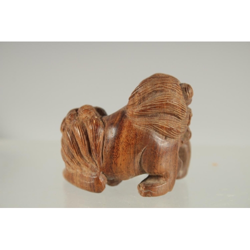 28 - A CHINESE CARVED WOOD NETSUKE OF A BEAST, 4cm wide.