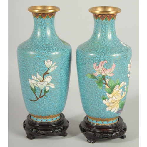 49 - A GOOD PAIR OF CHINESE BLUE GROUND CLOISONNE VASES, on wooden stands, each decorated with flora, 20.... 