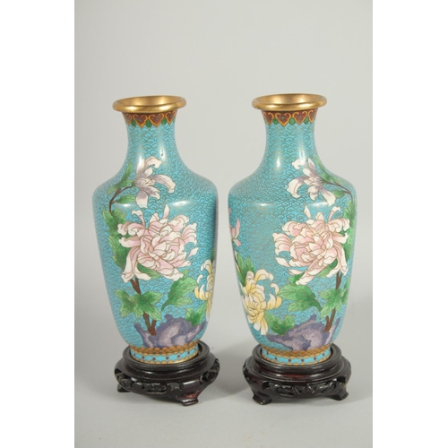 49 - A GOOD PAIR OF CHINESE BLUE GROUND CLOISONNE VASES, on wooden stands, each decorated with flora, 20.... 