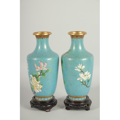 49 - A GOOD PAIR OF CHINESE BLUE GROUND CLOISONNE VASES, on wooden stands, each decorated with flora, 20.... 