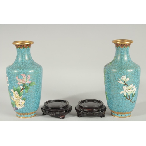 49 - A GOOD PAIR OF CHINESE BLUE GROUND CLOISONNE VASES, on wooden stands, each decorated with flora, 20.... 