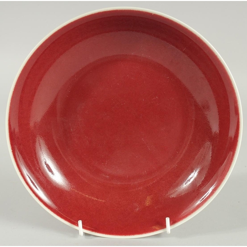 61 - A CHINESE COPPER RED GLZE PORCELAIN DISH, 22cm diameter.