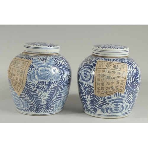 1240 - A PAIR OF CHINESE BLUE AND WHITE GINGER JARS AND COVERS 9.5ins high.