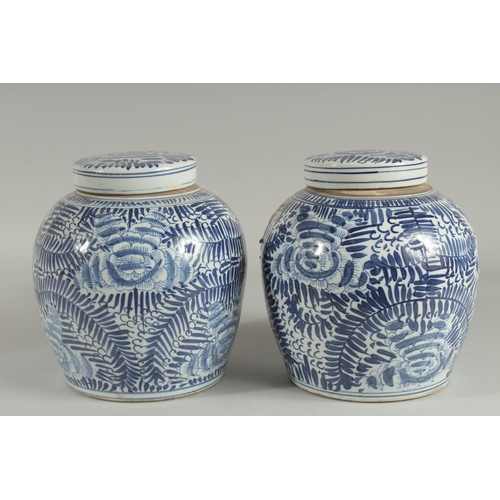 1240 - A PAIR OF CHINESE BLUE AND WHITE GINGER JARS AND COVERS 9.5ins high.