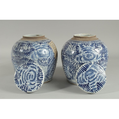 1240 - A PAIR OF CHINESE BLUE AND WHITE GINGER JARS AND COVERS 9.5ins high.